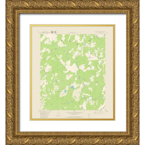 Blanket Springs Texas Quad - USGS 1979 Gold Ornate Wood Framed Art Print with Double Matting by USGS