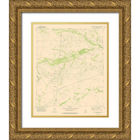 Burnt Spring Hills Texas Quad - USGS 1973 Gold Ornate Wood Framed Art Print with Double Matting by USGS