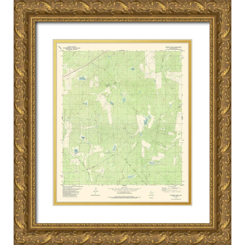 Burrito Tank Texas Quad - USGS 1980 Gold Ornate Wood Framed Art Print with Double Matting by USGS