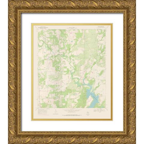 Byrds Texas Quad - USGS 1969 Gold Ornate Wood Framed Art Print with Double Matting by USGS