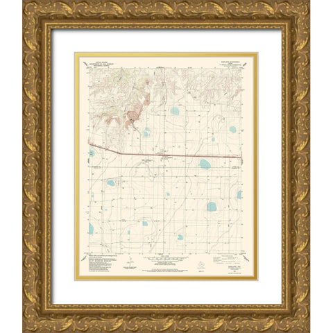 Bushland Texas Quad - USGS 1984 Gold Ornate Wood Framed Art Print with Double Matting by USGS