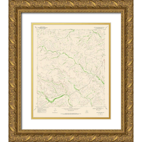 Circle Dot Ranch Texas Quad - USGS 1969 Gold Ornate Wood Framed Art Print with Double Matting by USGS