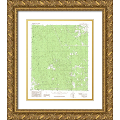 Chambliss Hill Teaxs Quad - USGS 1984 Gold Ornate Wood Framed Art Print with Double Matting by USGS