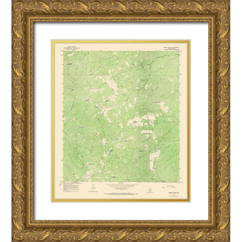 Cibolo Ranch Texas Quad - USGS 1965 Gold Ornate Wood Framed Art Print with Double Matting by USGS