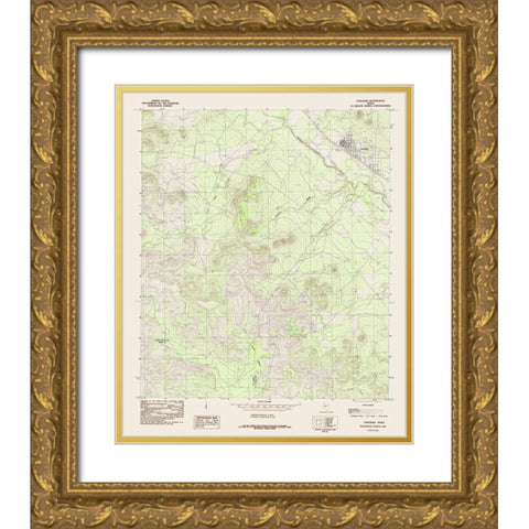 Carlsbad Texas Quad - USGS 1984 Gold Ornate Wood Framed Art Print with Double Matting by USGS