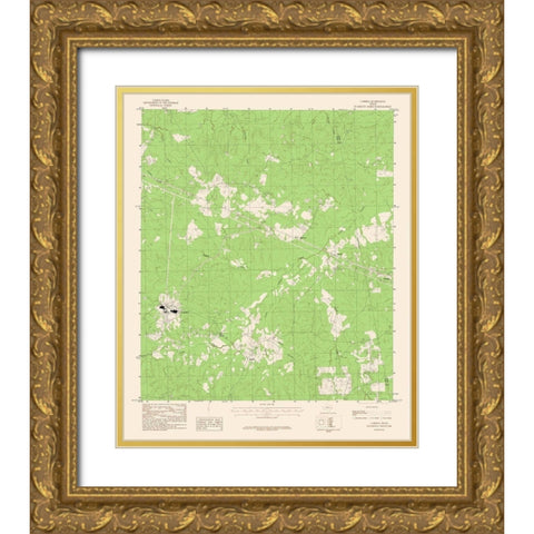 Camden Texas Quad - USGS 1979 Gold Ornate Wood Framed Art Print with Double Matting by USGS