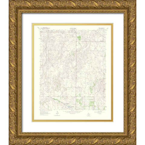 Pakan Texas Quad - USGS 1965 Gold Ornate Wood Framed Art Print with Double Matting by USGS