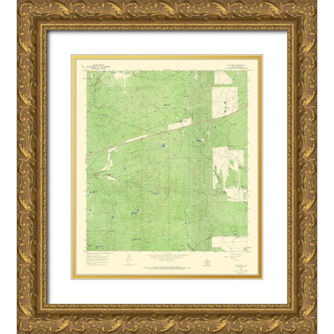 Tios Creek Texas Quad - USGS 1965 Gold Ornate Wood Framed Art Print with Double Matting by USGS