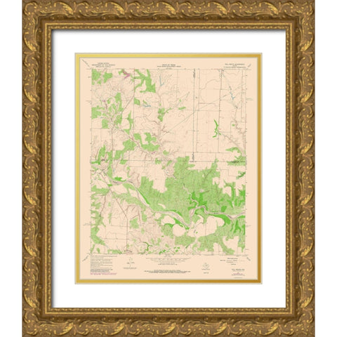 Tell South Texas Quad - USGS 1967 Gold Ornate Wood Framed Art Print with Double Matting by USGS