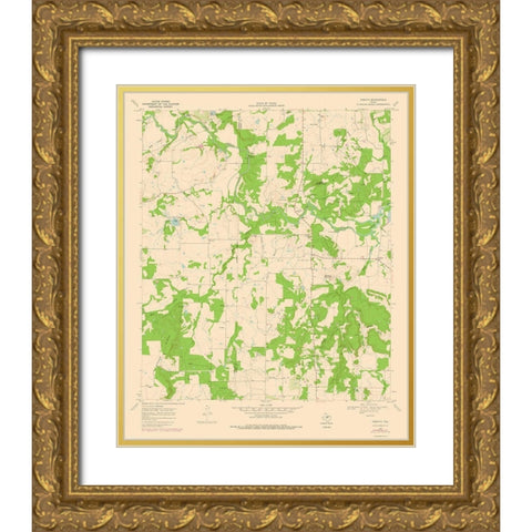 Thrifty Texas Quad - USGS 1969 Gold Ornate Wood Framed Art Print with Double Matting by USGS