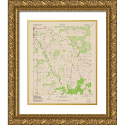True Texas Quad - USGS 1964 Gold Ornate Wood Framed Art Print with Double Matting by USGS