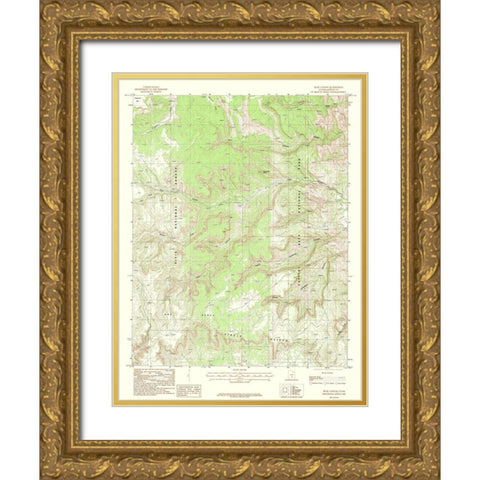 Bear Canyon Utah Quad - USGS 1987 Gold Ornate Wood Framed Art Print with Double Matting by USGS