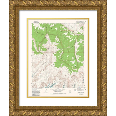 Navajo Point Utah Quad - USGS 1985 Gold Ornate Wood Framed Art Print with Double Matting by USGS