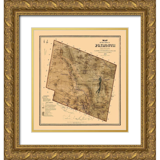 Perspective Image