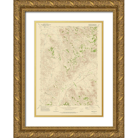 South West Weston Wyoming Quad - USGS 1972 Gold Ornate Wood Framed Art Print with Double Matting by USGS