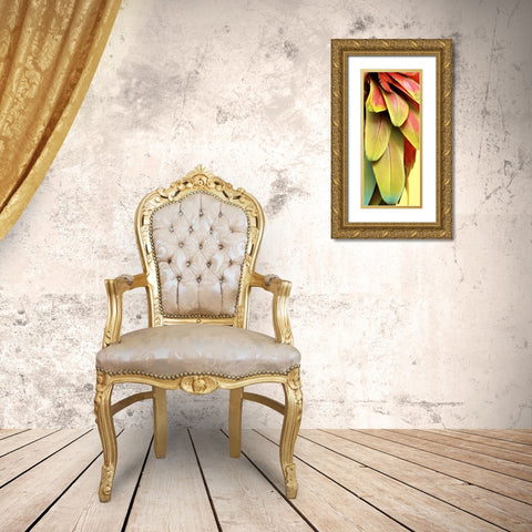 Feathers II Gold Ornate Wood Framed Art Print with Double Matting by Bartola