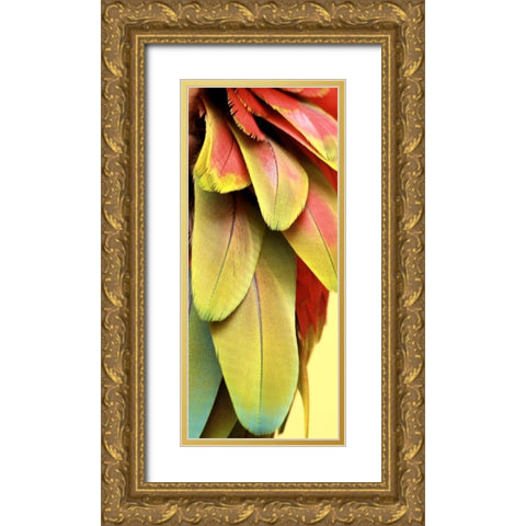 Feathers II Gold Ornate Wood Framed Art Print with Double Matting by Bartola