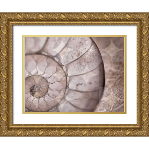 La Concha I Gold Ornate Wood Framed Art Print with Double Matting by Bartola
