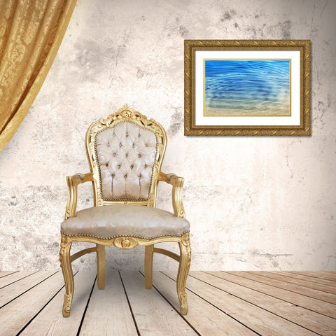 Golden Sand Gold Ornate Wood Framed Art Print with Double Matting by Franklin