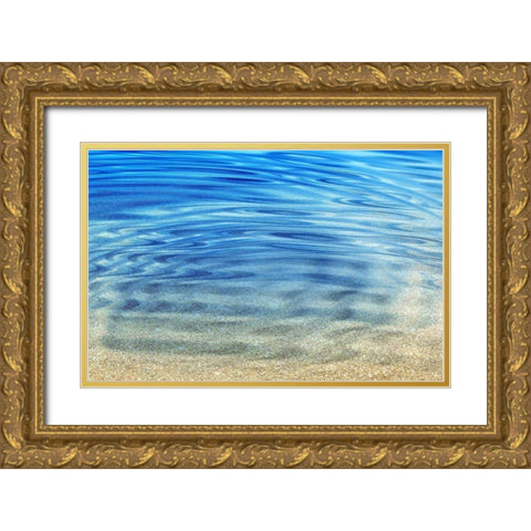 Golden Sand Gold Ornate Wood Framed Art Print with Double Matting by Franklin