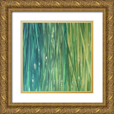 Natural Dance I Gold Ornate Wood Framed Art Print with Double Matting by Franklin