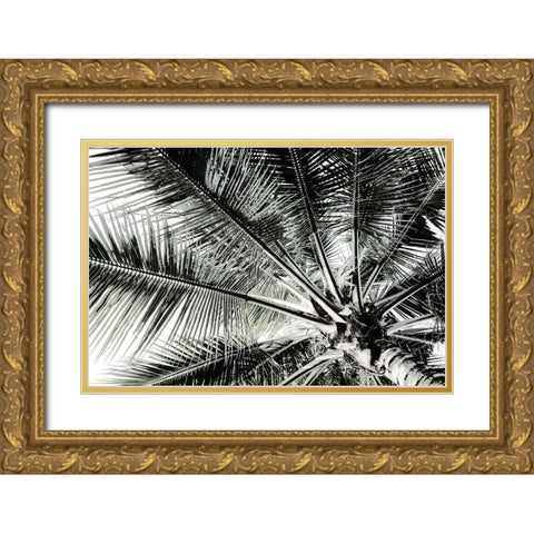 Neutral Palm III Gold Ornate Wood Framed Art Print with Double Matting by Franklin
