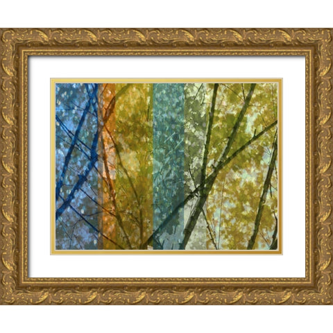 Rainbow Canopy Gold Ornate Wood Framed Art Print with Double Matting by Franklin