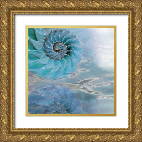 Nautilus Reflection I Gold Ornate Wood Framed Art Print with Double Matting by Franklin