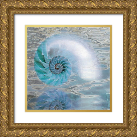 Nautilus Reflection II Gold Ornate Wood Framed Art Print with Double Matting by Franklin