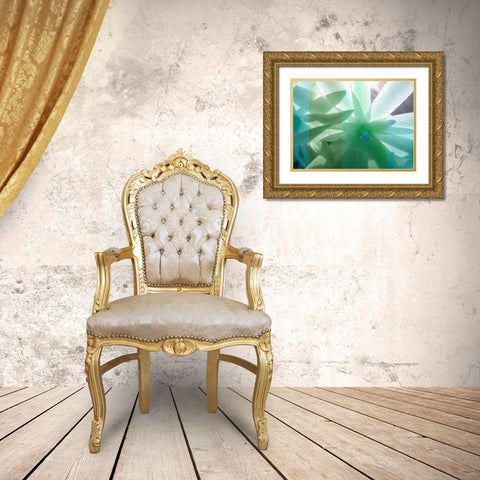Floral Shadow Gold Ornate Wood Framed Art Print with Double Matting by Franklin
