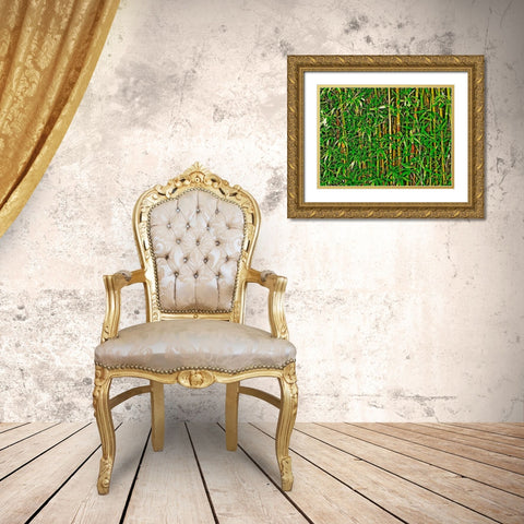 Bamboo in HD II Gold Ornate Wood Framed Art Print with Double Matting by Simons