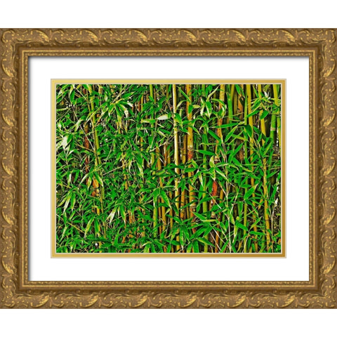 Bamboo in HD II Gold Ornate Wood Framed Art Print with Double Matting by Simons