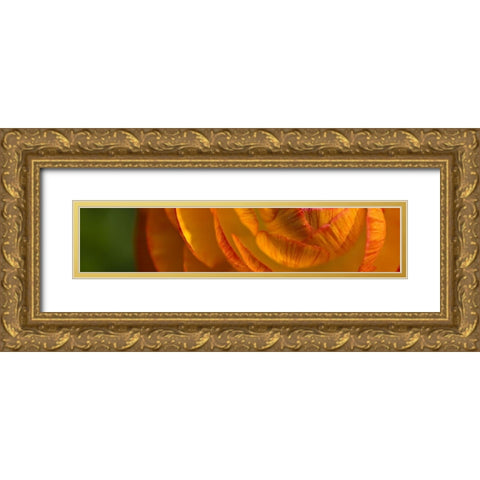 Flower Slice Orange II Gold Ornate Wood Framed Art Print with Double Matting by Simons