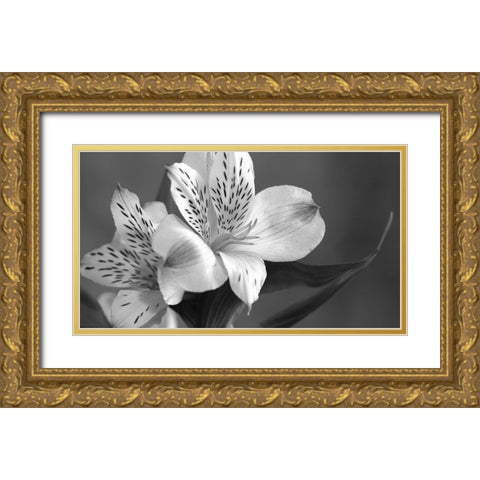 Lily in Black and White Gold Ornate Wood Framed Art Print with Double Matting by Simons