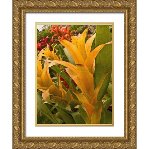 Tropical Sunshine I Gold Ornate Wood Framed Art Print with Double Matting by Simons