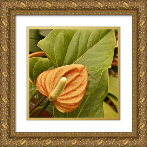 Tropical Sunshine II Gold Ornate Wood Framed Art Print with Double Matting by Simons