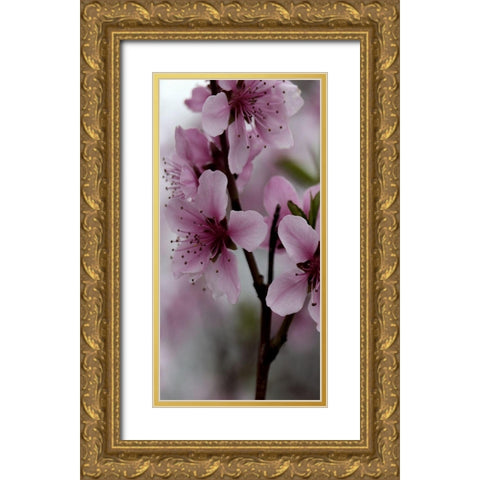 Beautiful Pink Gold Ornate Wood Framed Art Print with Double Matting by Phillip, Jamie