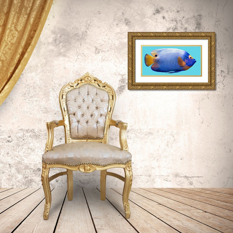 Parrot Fish Gold Ornate Wood Framed Art Print with Double Matting by Phillip, Jamie