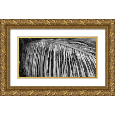 Palm Branch 2 Gold Ornate Wood Framed Art Print with Double Matting by Phillip, Jamie