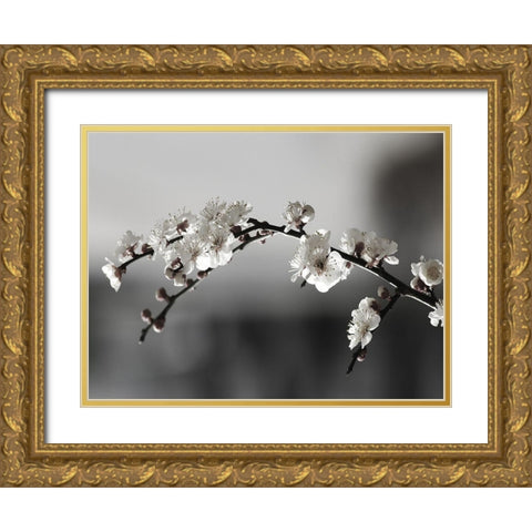 Soaked In Dew Gold Ornate Wood Framed Art Print with Double Matting by Phillip, Jamie