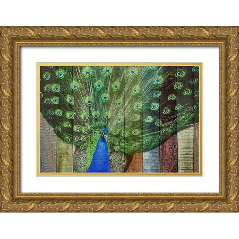 Peacock 3 Gold Ornate Wood Framed Art Print with Double Matting by Phillip, Jamie