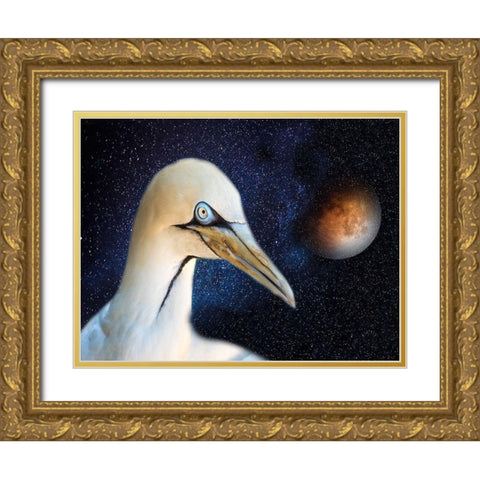 Space Bird Gold Ornate Wood Framed Art Print with Double Matting by Phillip, Jamie