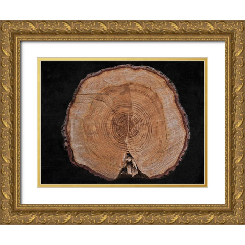 Dark Wood Gold Ornate Wood Framed Art Print with Double Matting by Phillip, Jamie