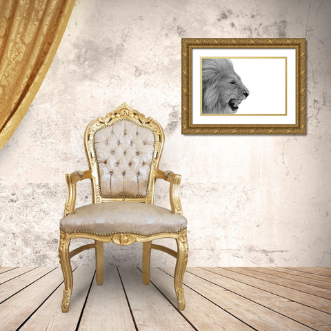 Lion Gold Ornate Wood Framed Art Print with Double Matting by Phillip, Jamie