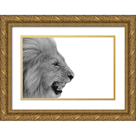 Lion Gold Ornate Wood Framed Art Print with Double Matting by Phillip, Jamie