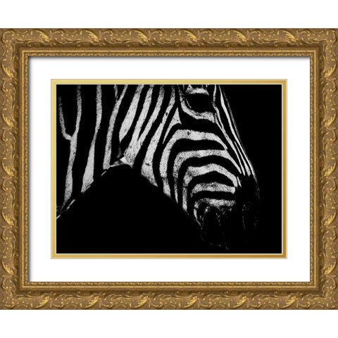 Africa Savanna 2 Gold Ornate Wood Framed Art Print with Double Matting by Phillip, Jamie