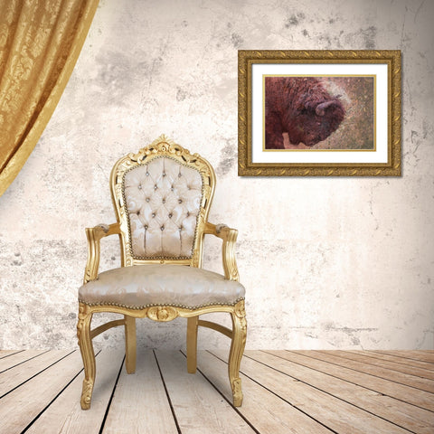 Brown Buffalo Gold Ornate Wood Framed Art Print with Double Matting by Phillip, Jamie