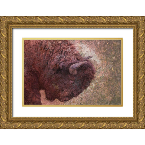 Brown Buffalo Gold Ornate Wood Framed Art Print with Double Matting by Phillip, Jamie