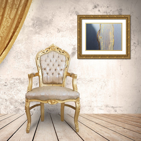 Honeycomb 2 Gold Ornate Wood Framed Art Print with Double Matting by Phillip, Jamie