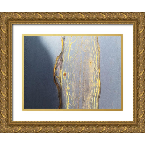 Honeycomb 2 Gold Ornate Wood Framed Art Print with Double Matting by Phillip, Jamie